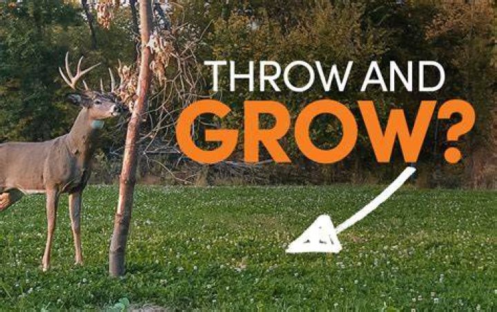 Will deer eat throw and grow