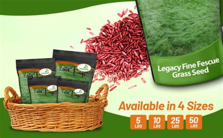 Will rye grass attract deer