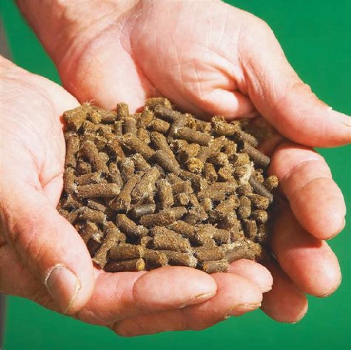 Will slug pellets harm rats